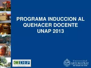 programa induccion al quehacer docente unap 2013