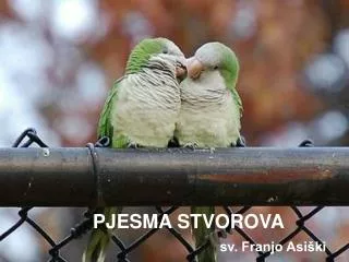pjesma stvorova sv franjo asi ki