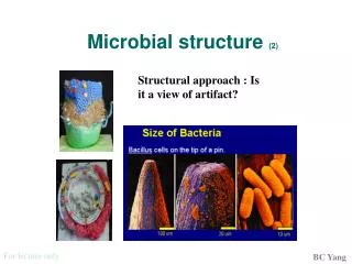 Microbial structure (2)