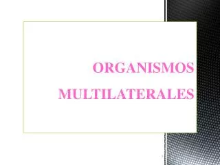 organismos multilaterales