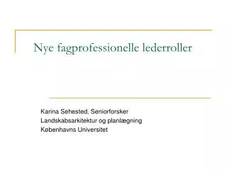 nye fagprofessionelle lederroller