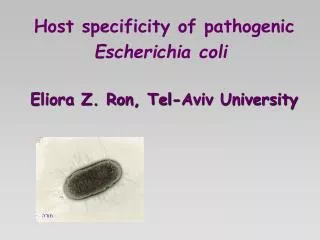 Host specificity of pathogenic Escherichia coli Eliora Z. Ron, Tel-Aviv University