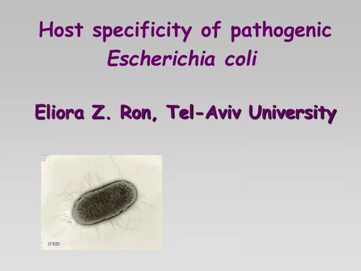 host specificity of pathogenic escherichia coli eliora z ron tel aviv university