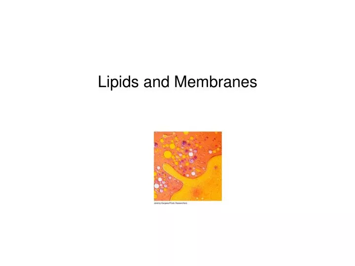 lipids and membranes