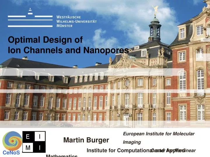 optimal design of ion channels and nanopores