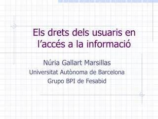 els drets dels usuaris en l acc s a la informaci