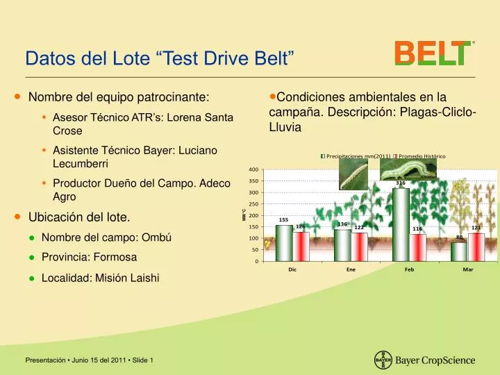 datos del lote test drive belt