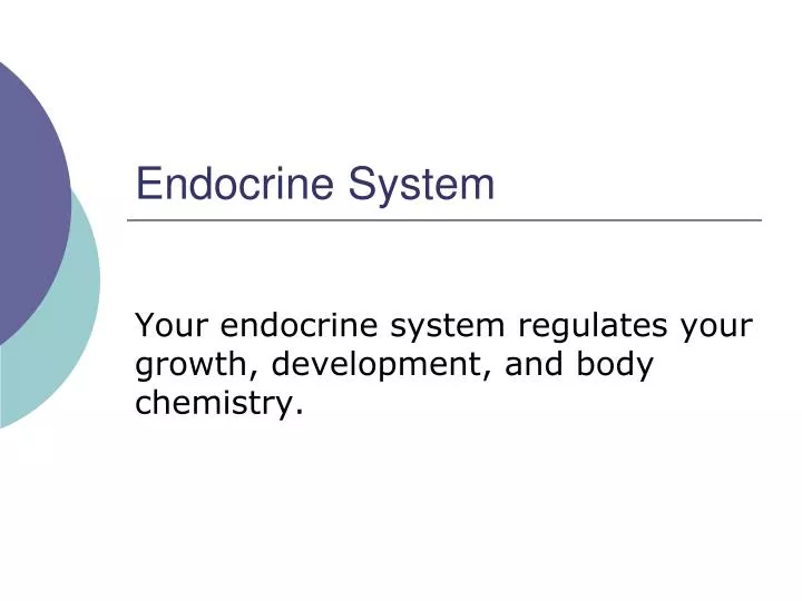 endocrine system