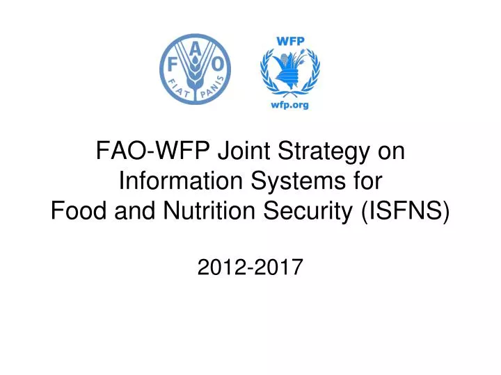 fao wfp joint strategy on information systems for food and nutrition security isfns