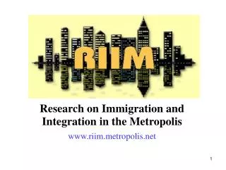 Research on Immigration and Integration in the Metropolis riimtropolis
