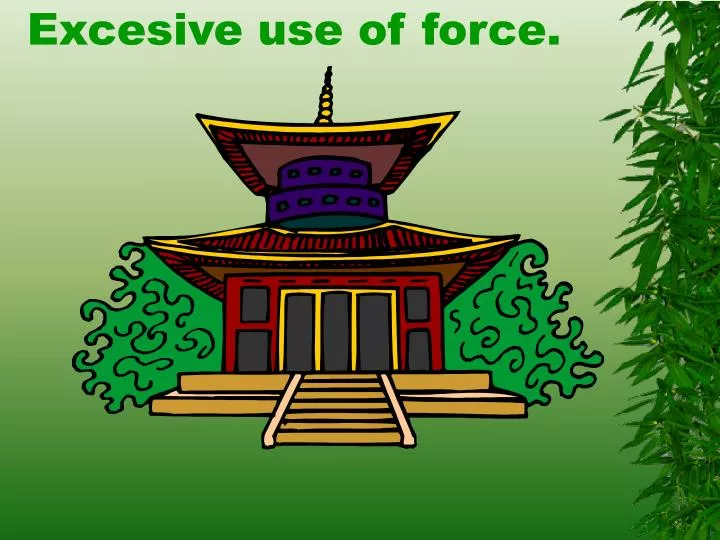 excesive use of force