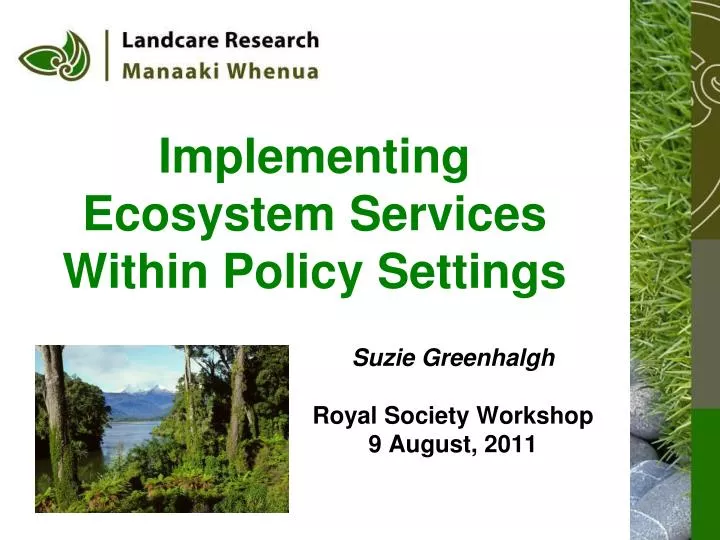 implementing ecosystem services within policy settings