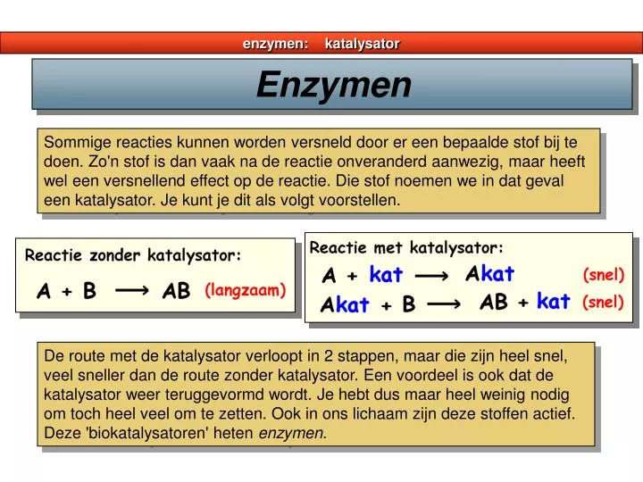 enzymen katalysator