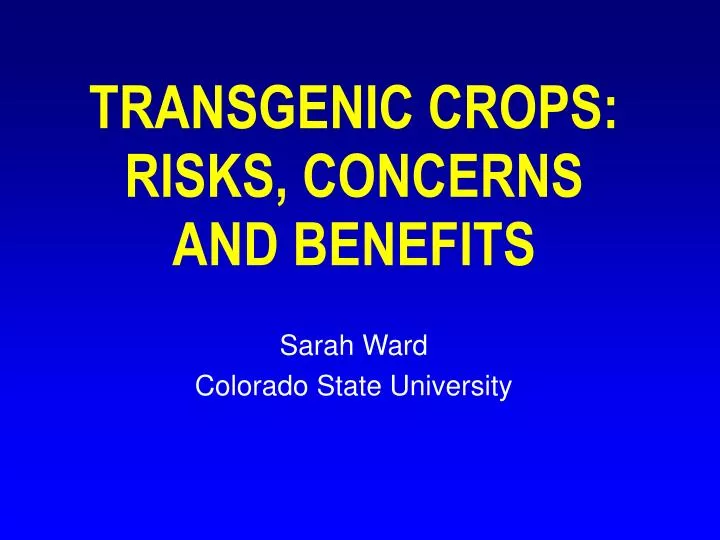 transgenic crops risks concerns and benefits