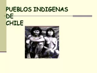 pueblos indigenas de chile
