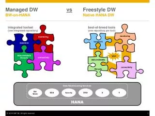 Managed DW vs 	Freestyle DW BW-on-HANA				Native HANA DW