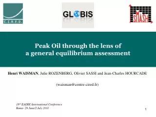 Peak Oil through the lens of a general equilibrium assessment