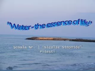 coala nr 1 nicolae simonide pite ti