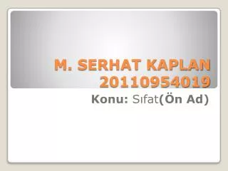 m serhat kaplan 20110954019