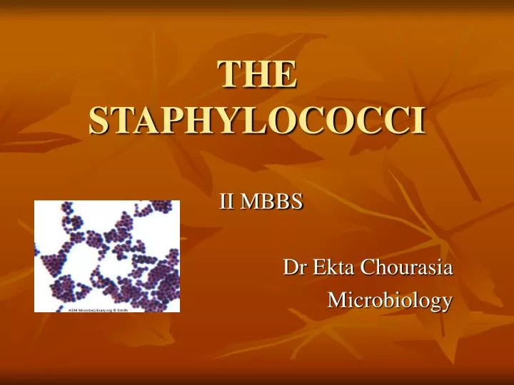 the staphylococci