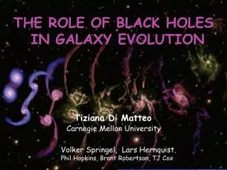 THE ROLE OF BLACK HOLES IN GALAXY EVOLUTION