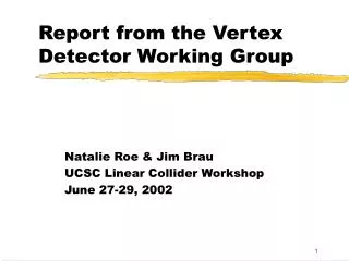 Report from the Vertex Detector Working Group