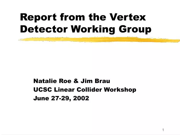 report from the vertex detector working group