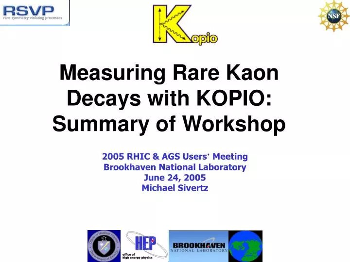 measuring rare kaon decays with kopio summary of workshop