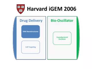 Harvard iGEM 2006