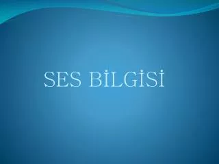 ses b lg s