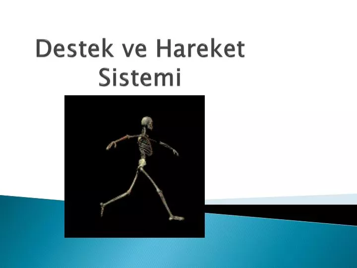 destek ve hareket sistemi