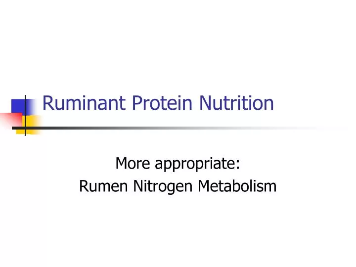 ruminant protein nutrition