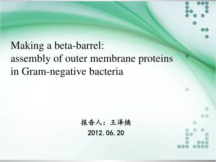 making a beta barrel assembly of outer membrane proteins in gram negative bacteria