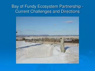 Bay of Fundy Ecosystem Partnership - Current Challenges and Directions