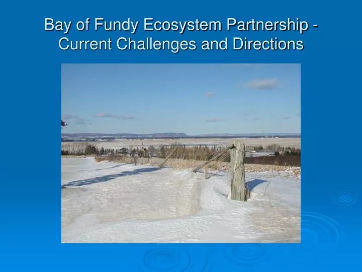 bay of fundy ecosystem partnership current challenges and directions