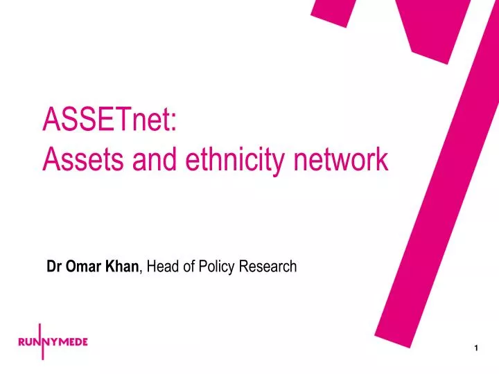 assetnet assets and ethnicity network