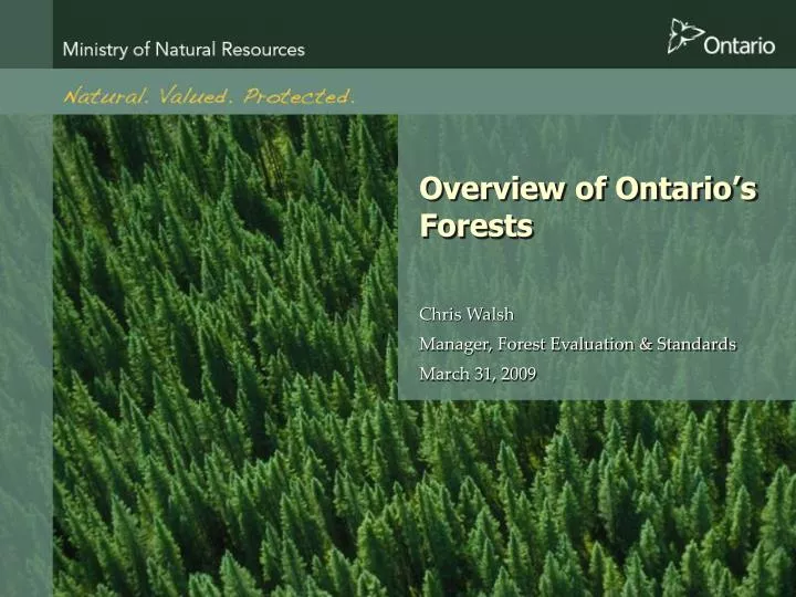 overview of ontario s forests