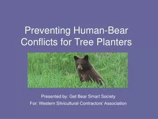 Preventing Human-Bear Conflicts for Tree Planters