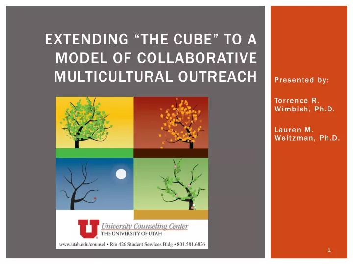 extending the cube to a model of collaborative multicultural outreach