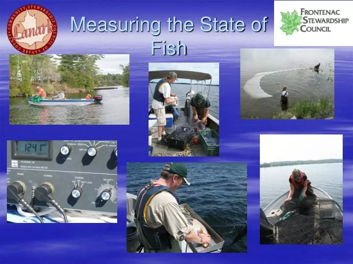 measuring the state of fish