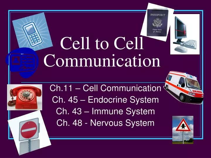 cell to cell communication