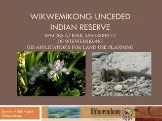 Species at Risk Project Wikwemikong