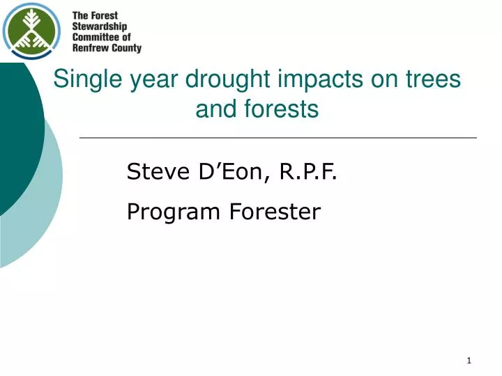 single year drought impacts on trees and forests