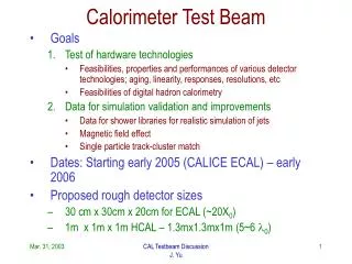 Calorimeter Test Beam