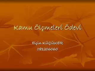 kamu l meleri devi