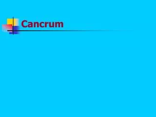 cancrum