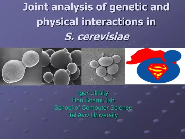 joint analysis of genetic and physical interactions in s cerevisiae