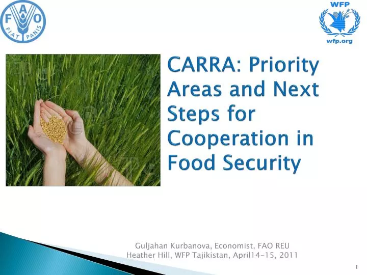 carra priority areas and next steps for cooperation in food security