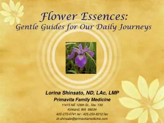 Flower Essences: Gentle Guides for Our Daily Journeys