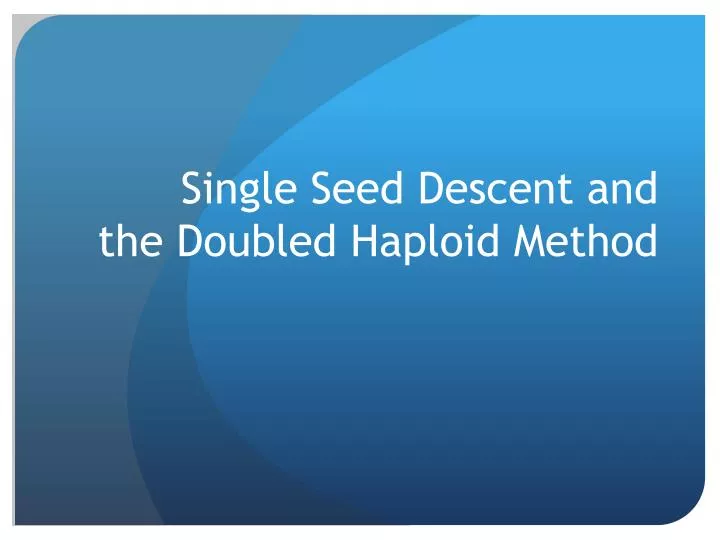 single seed descent and the doubled haploid method